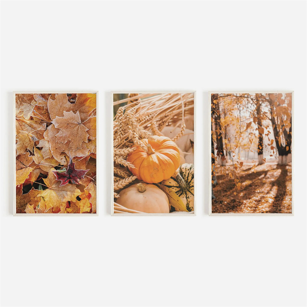 Abstract Canvas Set - 3PCS frameless decorative art print,3pcs Rustic